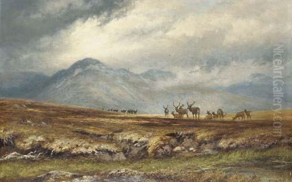 Stags In A Mountain Landscape Oil Painting by Charles Grey