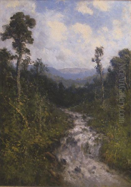 The Babbling Brook Oil Painting by Thomas Bartholomew Griffin