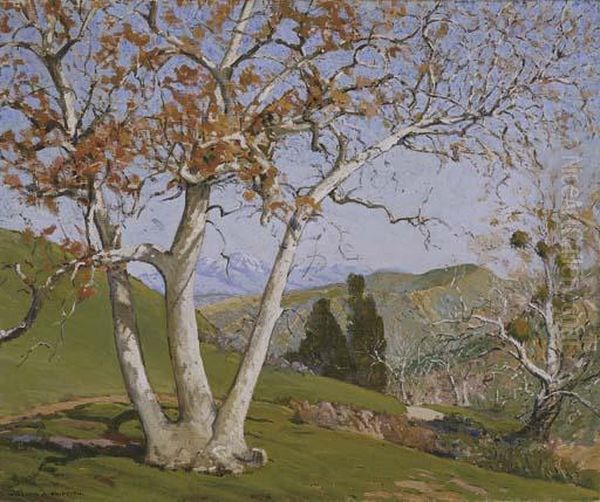 Sycamore Tree (in Laguna Canyon) Oil Painting by William Alexander Griffith