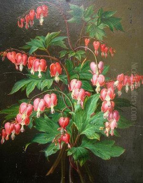 Diclytre, A Belle Fleur Oil Painting by Anthelme Eugene Grobon