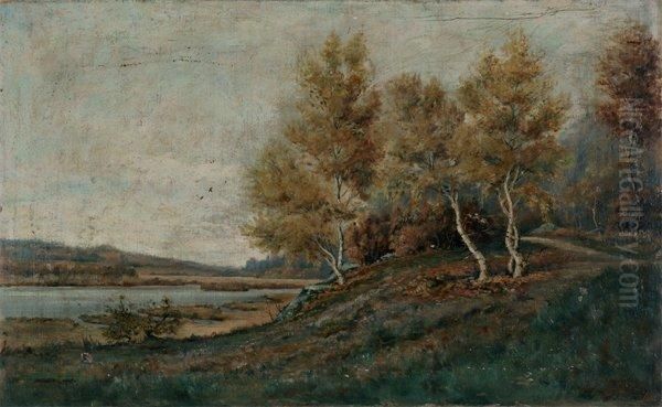 Paysage Lacustre Boise Oil Painting by Peter Alfred Gross