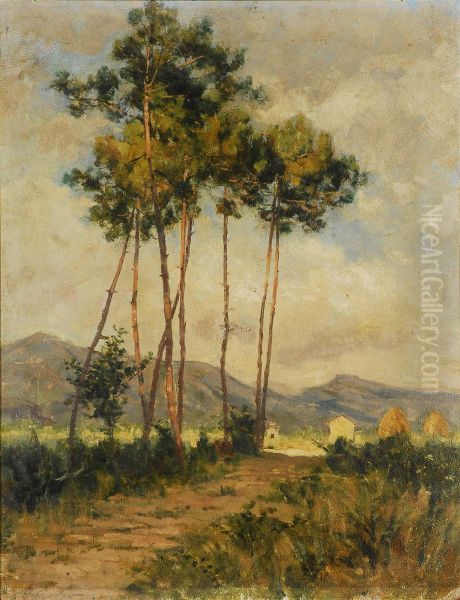 Paesaggio Con Alberi Oil Painting by Alberto Grosso