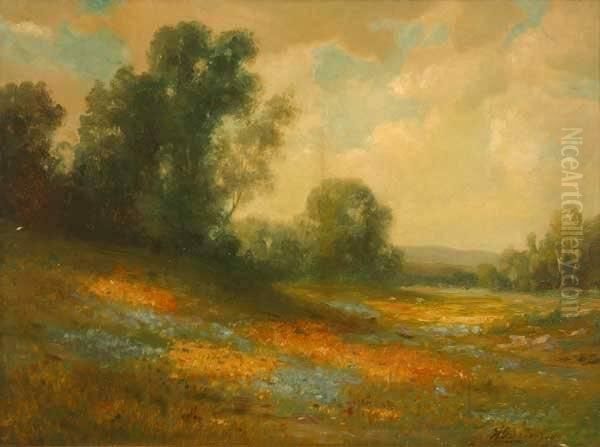 Landscape Eucalyptus And Flowerfield S L/r: H. Gustavson O/b 18x24 Oil Painting by Herman, Henry Gustavson