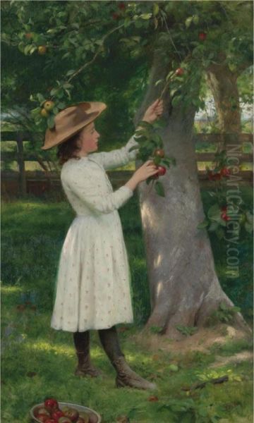 The Pick Of The Orchard (picking Apples) Oil Painting by Seymour Joseph Guy