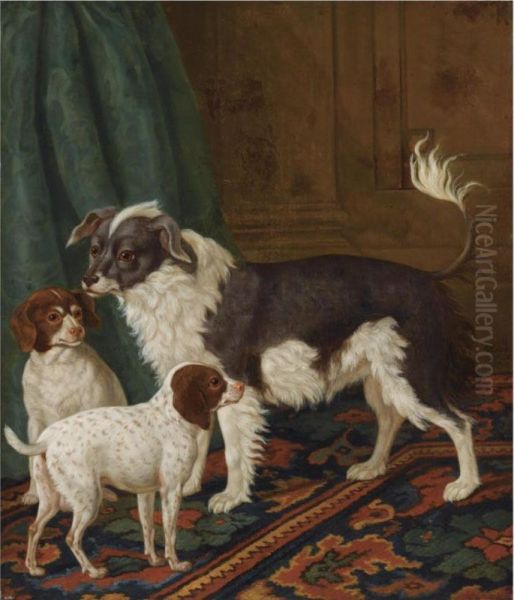 A Longhaired Black-and-white Dog With Bushy Tail And Two Brown Spotted White Puppies In An Interior Oil Painting by Tethart Philip Christiaan Haag