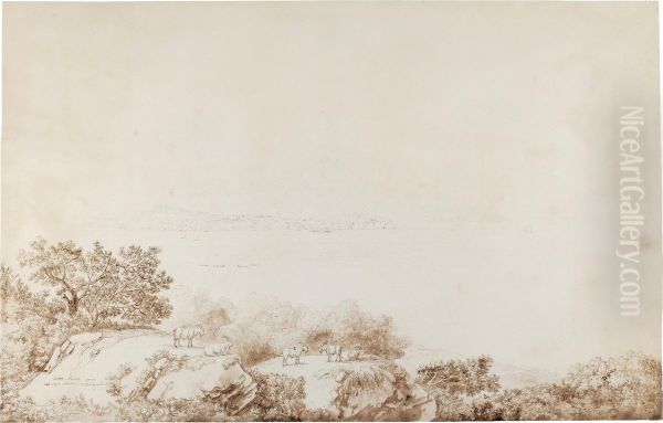 An Extensive View Of The Islands Of Procida And Ischia From Capo Miseno Oil Painting by Jacob Philipp Hackert