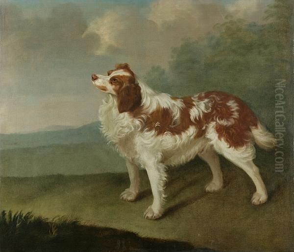 Spaniel In A Landscape Oil Painting by James Hagarty