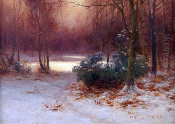 Woodland At Winter Oil Painting by Parker Hagarty