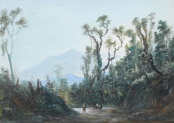 Brazilian Landscape Oil Painting by Friedrich Hagedorn