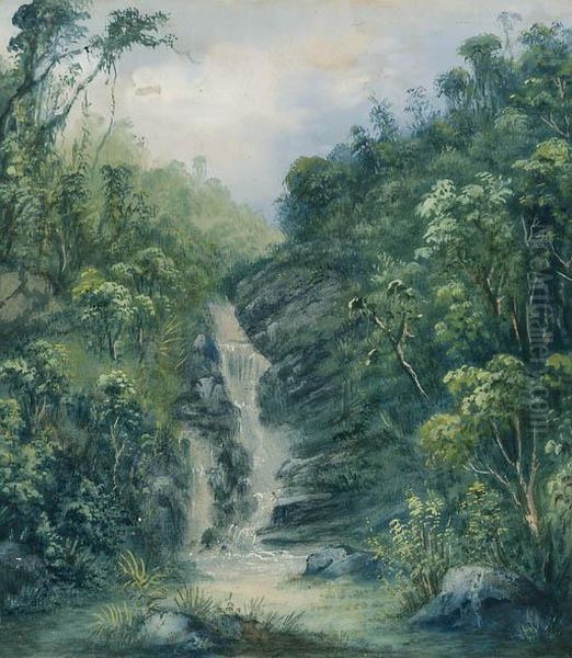 The Waterfall At Tijuca, Rio De Janeiro Oil Painting by Friedrich Hagedorn