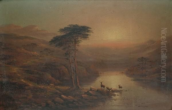 Stags By A Loch At Sunset Oil Painting by W. Haite