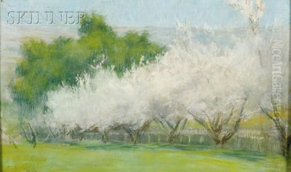 Almond Blossoms Oil Painting by Ellen Day Hale