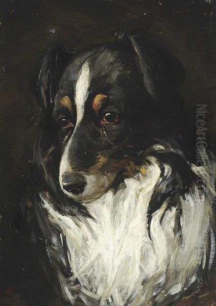 Study Of A Collie Oil Painting by Charles Halkerston Woolford