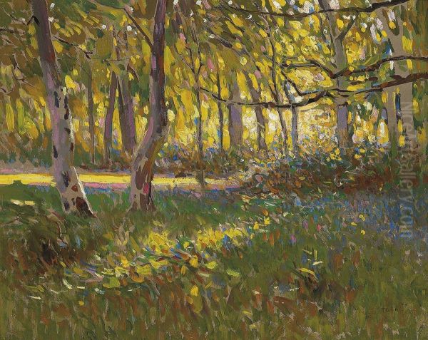 A Sunlit Wood Oil Painting by Frederick Hall