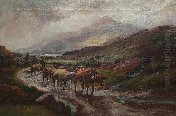 Highland Cattle, Nr Inverlochy Argyleshire Oil Painting by Harold Hall