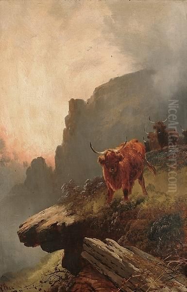 Highland Cattle On A Cliff Top Oil Painting by Harold Hall