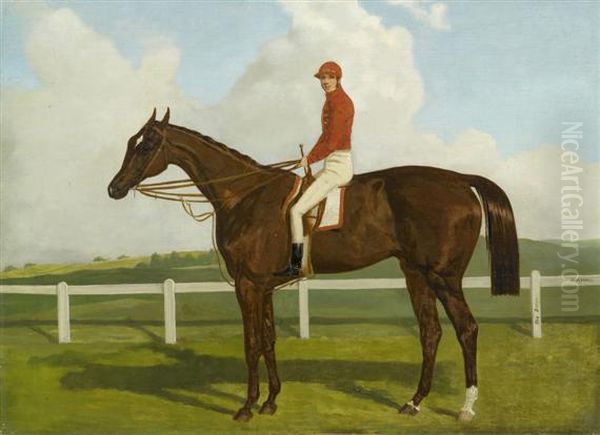 Horse And Jockey Oil Painting by Harry Hall