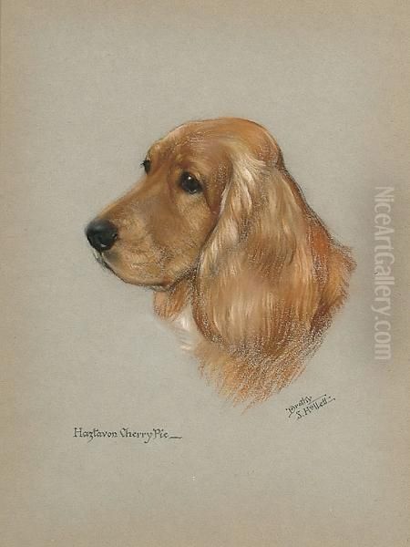 ''haztavon Cherry Pie', Study Of A Cocker Spaniel Oil Painting by Dorothy S. Hallett