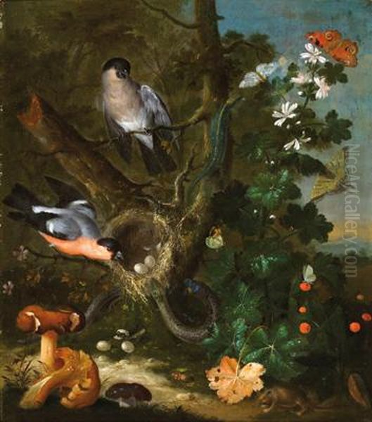 Natura Morta Con Uccelli E Funghi Oil Painting by Johann Baptist Halszel