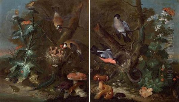 Pair Of Works: Still Life With Birds And Fungi Oil Painting by Johann Baptist Halszel