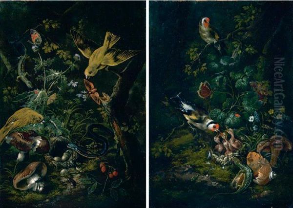 A Forest Floor Still Life With Goldfinches Feeding Their Chicks Oil Painting by Johann Baptist Halszel