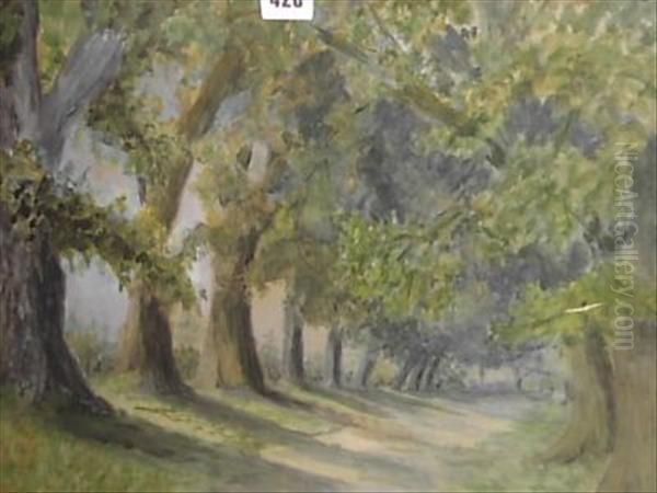 Avenue Of Trees Landscape Oil Painting by Mabel Hamar