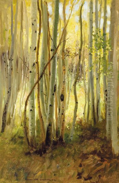 Sunlit Birch Forest Oil Painting by Hamilton Hamilton