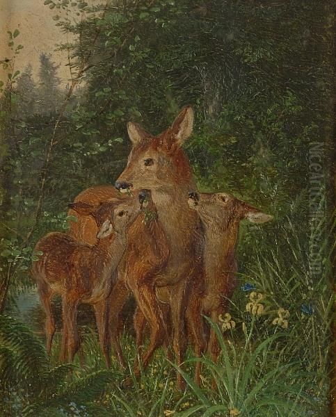 Hind And Two Calves In Woodland Oil Painting by Guido Hammer