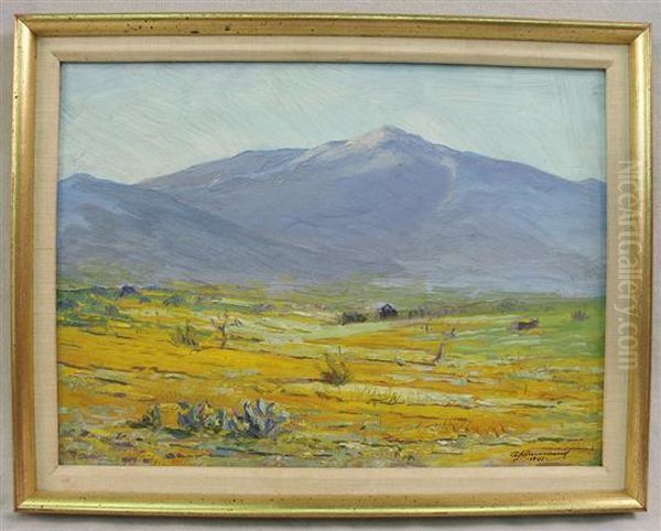 Poppy Fields, Arizona Oil Painting by Arthur J. Hammond