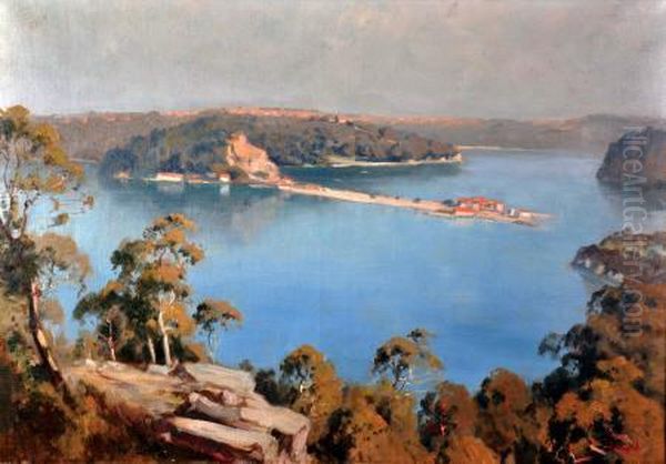 the Spit, Middle Harbour, Sydney Oil Painting by Carl Hampel