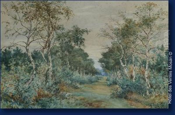 Paysage Auxbouleaux Oil Painting by Theodore Hannon