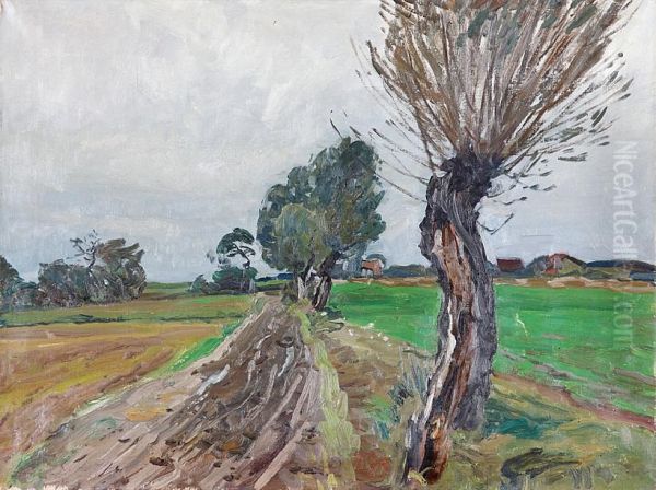 Alte Weiden, Stolpe Oil Painting by Johannes Hansch