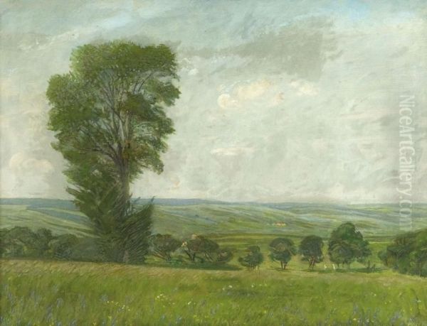 Sommerlandschaft Bei Weimar Oil Painting by Carl Hansen