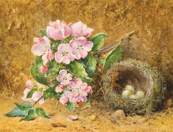 Apple Blossom And Nest Oil Painting by John Jessop Hardwick