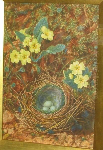 Bird's Nest And Primrose On A Mossy Bank Oil Painting by John Jessop Hardwick