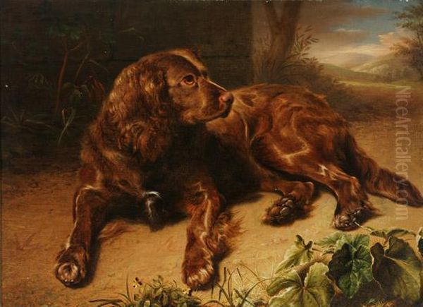 Brown Spaniel Resting On A Woodland Floor Oil Painting by Jeremiah Pearson Hardy