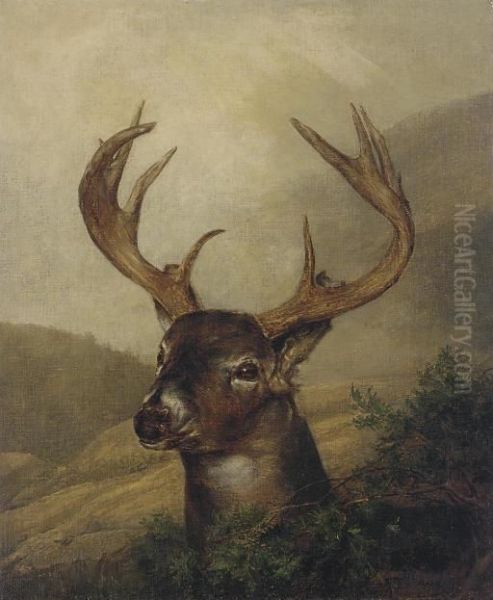 A Stag In A Mountainous Landscape Oil Painting by Jeremiah Pearson Hardy