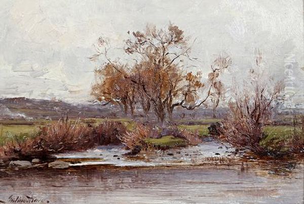 On Dolgarrog Stream, Conway Valley Oil Painting by Julius Hare