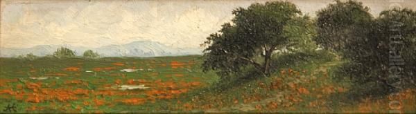 California Oaks And Wildflowers by Annie Lyle Harmon