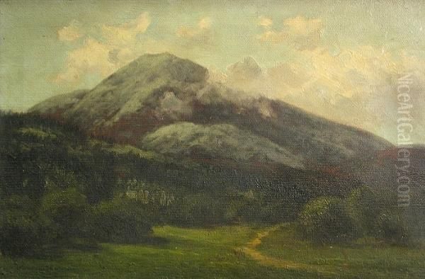 A Group Of Landscapes (13) Oil Painting by Annie Lyle Harmon