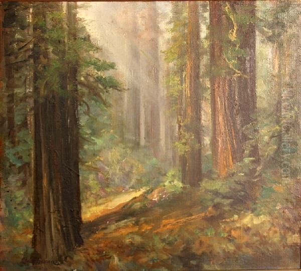 Humbolt Redwoods, Glendale, California Oil Painting by Charles Henry Harmon