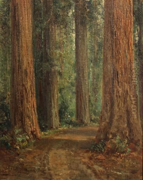 Road Through The Redwoods Oil Painting by Charles Henry Harmon