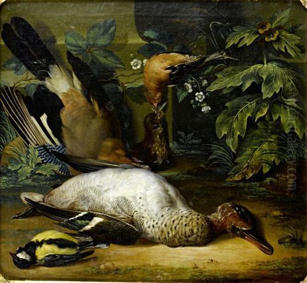 A Dead Jay, Chaffinch, Teal And A Great Tit On A Forest Floor Oil Painting by Anton Friedrich Harms