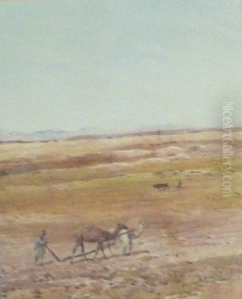 Camels, Ploughing Oil Painting by Henry Andrew Harper