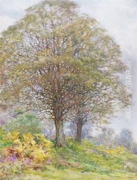 Trees At The Edge Of The Wood Oil Painting by Edward Steel, Harper Jnr.