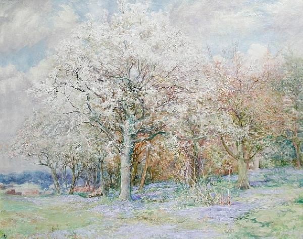 Woodland Scene With Bluebells by Edward Steel, Harper Jnr.