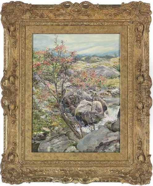 A Rowan Tree, Nantcol, Llanbedr by Edward Steel, Harper Jnr.