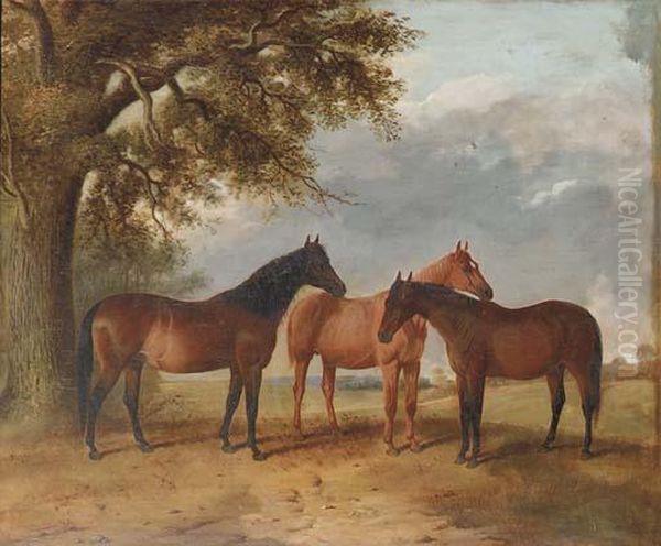 Rose, Comus Mare And Lady Fanny, A Portrait Of Two Bays And Achestnut In An Extensive Landscape Oil Painting by R. Harrington