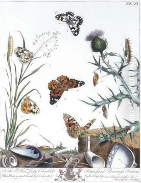 The Aurelian, A Natural History Of English Moths And Butterflies by Moses Harris