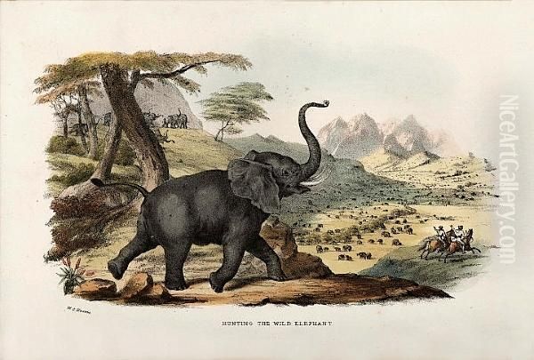 The Wild Sports Of Southern Africa by William Cornwallis Harris